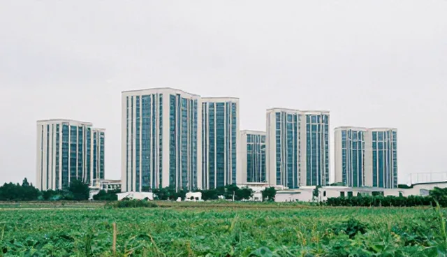 性能优化中选型关注点对结果的影响分析